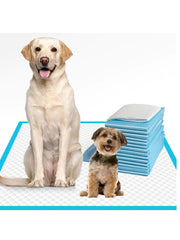 Disposable Puppy Training Pads – Leak-Proof Dog Pee Pads (24” x 24”, 40 Count)
