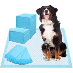 Extra Large Disposable Dog Training Pads β Puppy Pee Pads (31β x 35β, 80 Count)