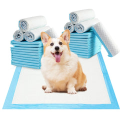 Small Puppy Pee Pads – Disposable Dog Training Pads, Quick Absorb & Odor Control (13 x 18, 100 Pack)