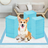Disposable Puppy Training Pads – 6-Layer Super Absorbent Dog Pee Pads (23” x 23”, 60 Count)