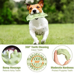 Bite Resistant Interactive Chew Stick Dog Toy Ball