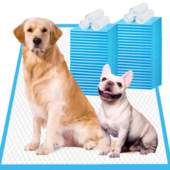 XXL Disposable Dog Training Pads – Super Absorbent Leak-Proof Puppy Pee Pads (30” x 36”, 30 Count)