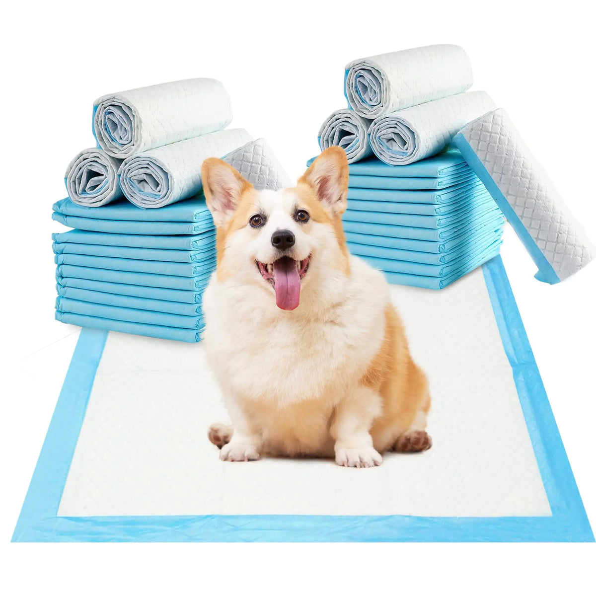 Small Puppy Pee Pads – Disposable Dog Training Pads, Quick Absorb & Odor Control (13 x 18, 100 Pack)