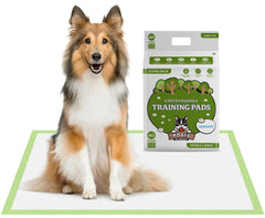 XL Disposable Dog Training Pads with Adhesive Tabs – Plant-Based Puppy Pee Pads (24” x 35”, 40 Count)