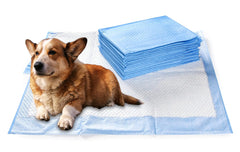 XL Disposable Dog Training Pads – Ultra Absorbent Leak-Proof Puppy Pee Pads (23” x 36”, 25 Count)