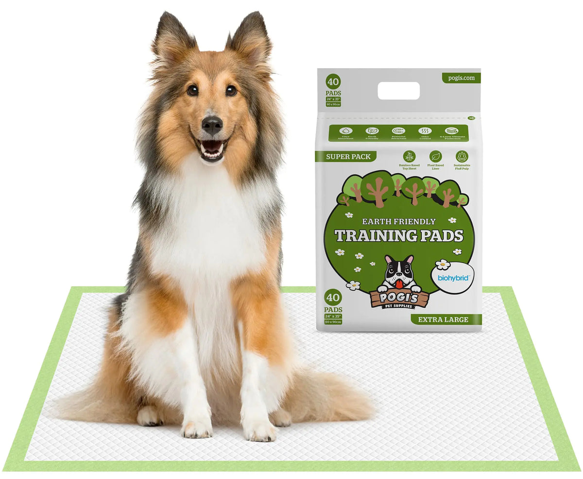 XL Disposable Dog Training Pads with Adhesive Tabs – Plant-Based Puppy Pee Pads (24” x 35”, 40 Count)